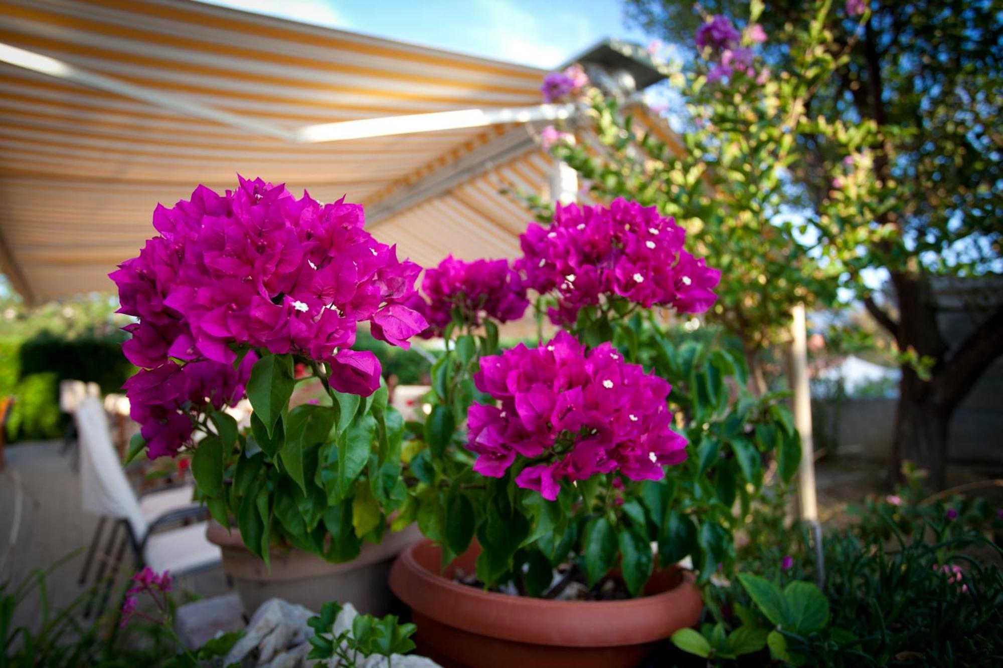 Pansion Burin Hotel Baška Екстериор снимка