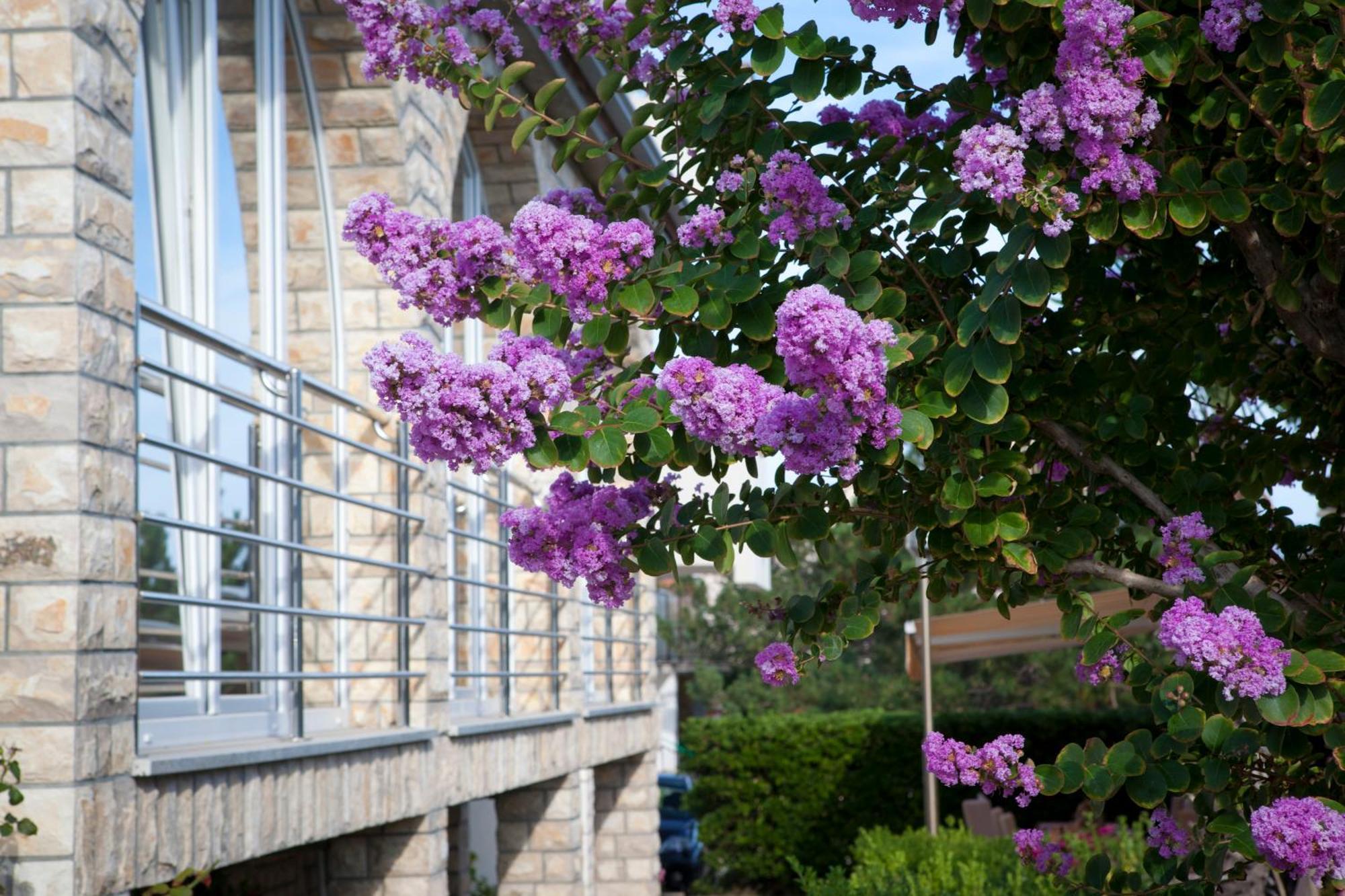 Pansion Burin Hotel Baška Екстериор снимка